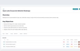 Detailed project overview with structured goals, key objectives, and team assignment tracking.