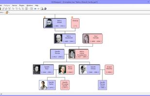 GEDKeeper screenshot 3