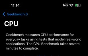 Geekbench screenshot 1