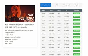 Geekersoft Video Downloader screenshot 1