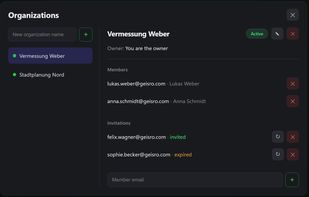 Geisro screenshot 2