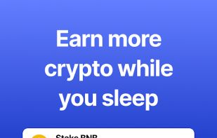 Gem Wallet screenshot 2