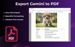 Gemini to PDF