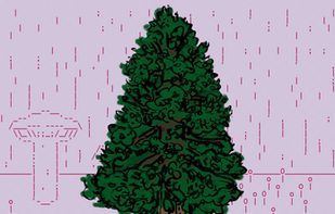 GENDERWRECKED screenshot 2