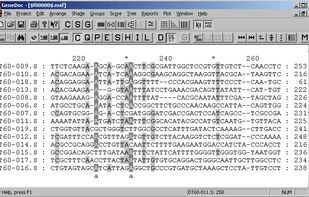 GeneDoc screenshot 1