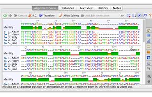 Geneious screenshot 1