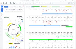 view plasmid atlas and sequence at the same time or you can hide any of them 