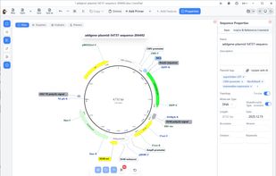 main page
