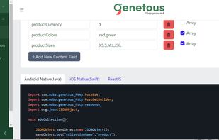 Playground (Hands-on Software Development Platform)