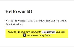 Genius.it Web Annotator screenshot 1