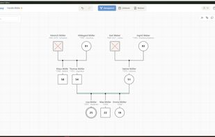 GenoEasy screenshot 2