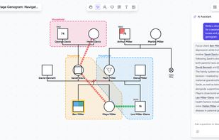 AI assistant writes a session summary from the genogram