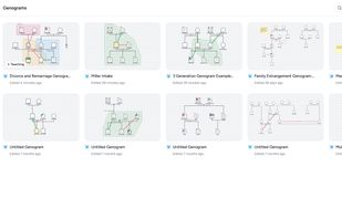 All your genograms and eco-maps in one encrypted workspace