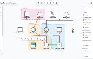 Medical conditions, households and a genogram key that updates itself