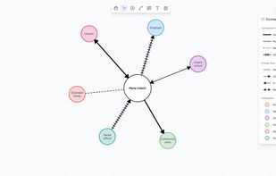 Eco-maps with connection strength, energy flow and color-coded systems