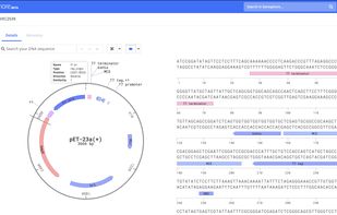 DNA vector visualization