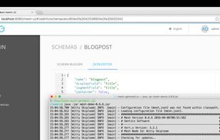 Gentics Mesh screenshot 1