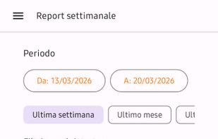 working report