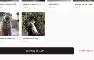 GetFiles screenshot 3