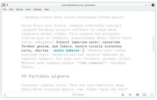 ghostwriter screenshot 3