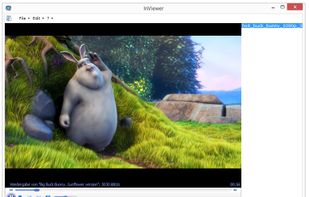 InViewer screenshot 1