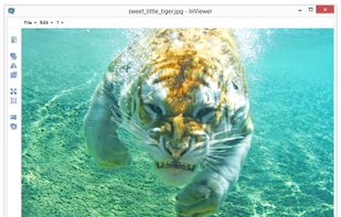 InViewer screenshot 1