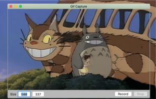 GifCapture screenshot 1