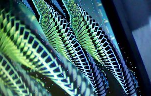 gifSlap screenshot 1