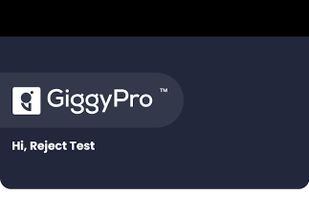 GiggyPro screenshot 3