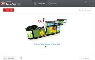 Gihosoft TubeGet screenshot 1