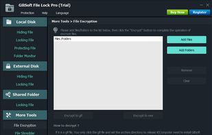 Gilisoft File Lock Pro screenshot 2