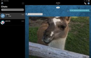 Ginlo Private screenshot 1