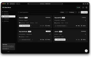 Gitea Mirror screenshot 1