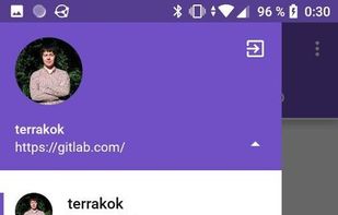 GitFox for GitLab screenshot 1