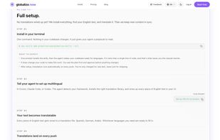 Full setup flow — install and translate in one step