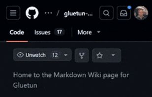 Gluetun screenshot 1