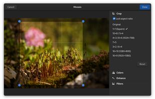 GNOME Photos screenshot 1