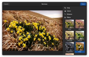 GNOME Photos screenshot 2