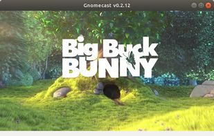 Gnomecast screenshot 1