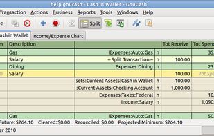 Account Register Display