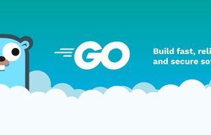 Go (Programming Language) screenshot 1