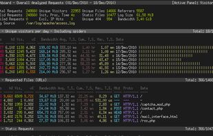 GoAccess screenshot 1