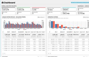 GoAccess screenshot 1