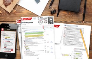 Goalton.com screenshot 1