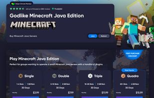 Minecraft server hosting