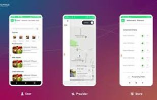 Goferjek-User-Provider-Store Applications