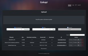 Gokapi screenshot 1