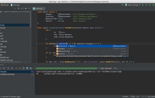 GoLand screenshot 1