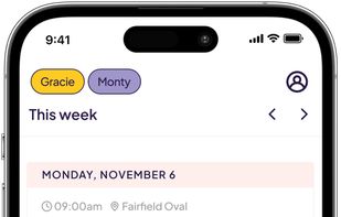 Goldee AI screenshot 1