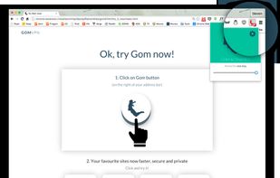 Gom VPN screenshot 1